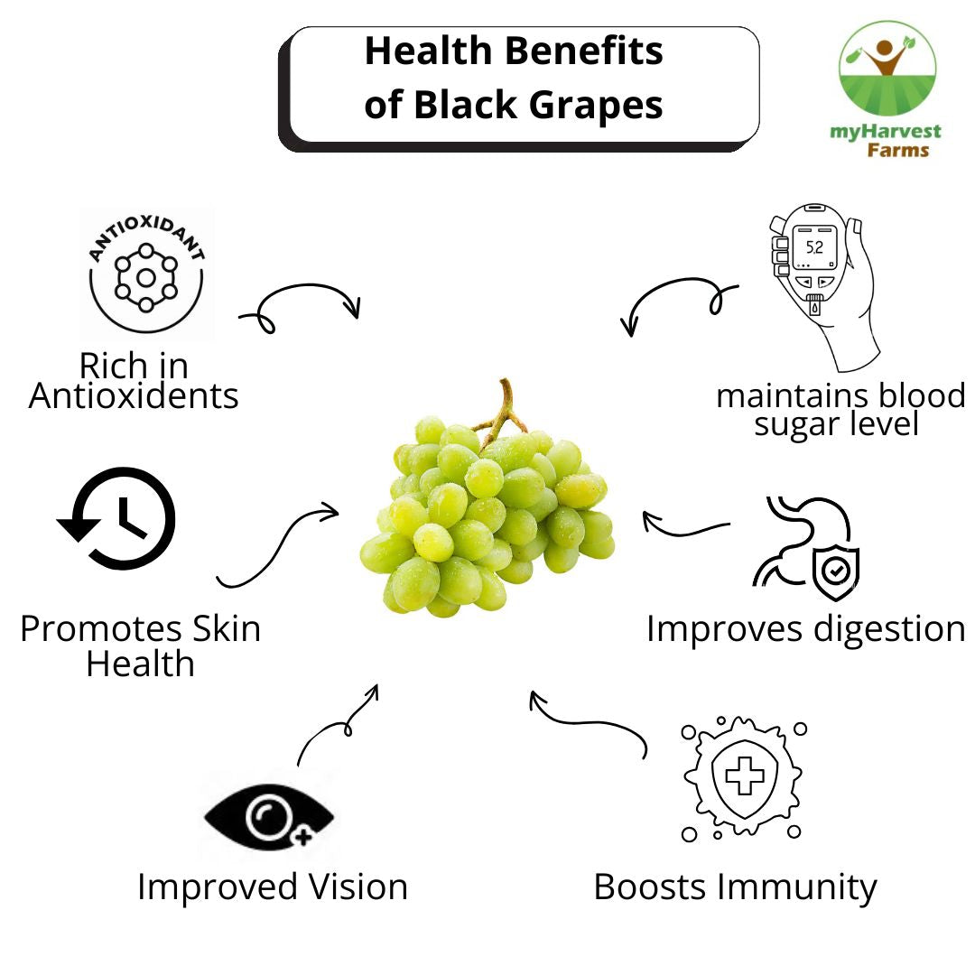 Organic Seedless Green Grapes | Chemical-Free Seasonal Fruit | Fresh from Farm