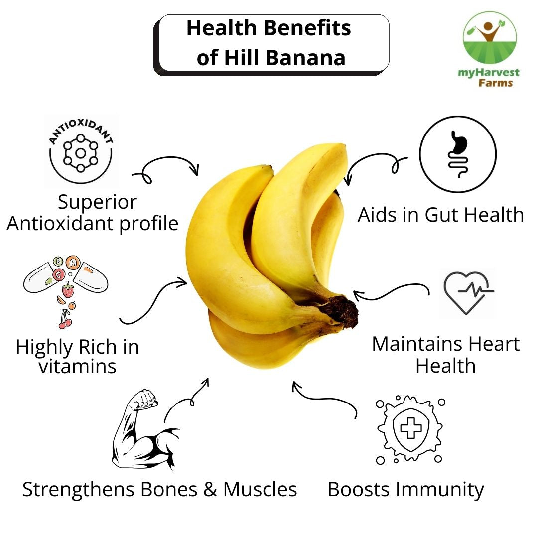 Hill Banana