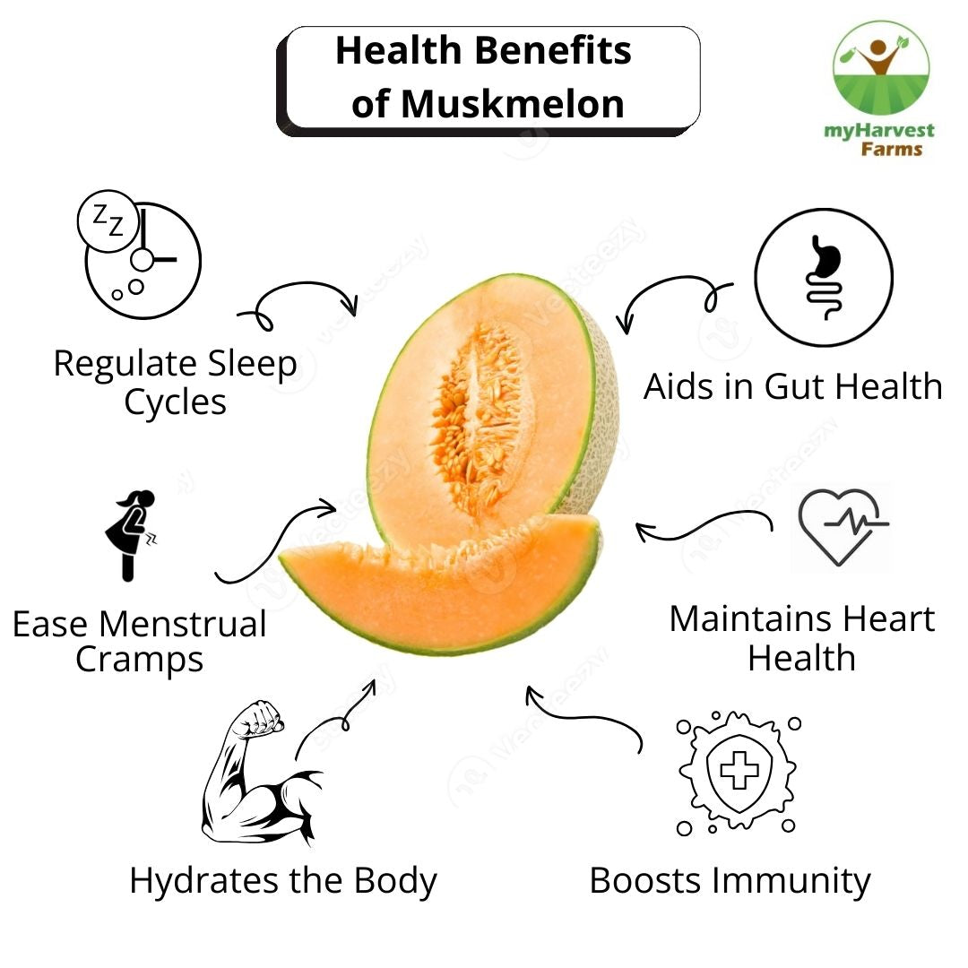Muskmelon