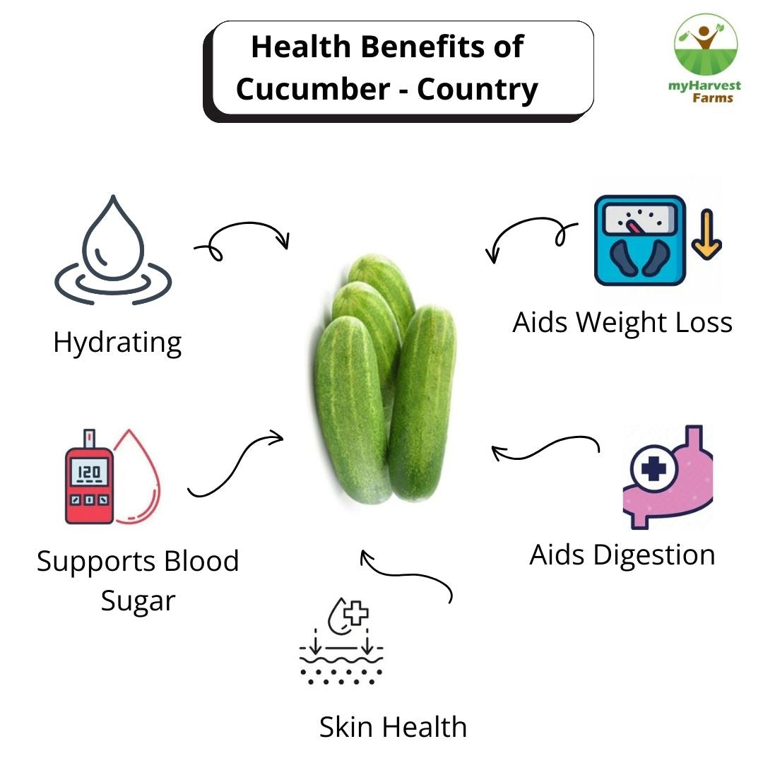 Cucumber - Country