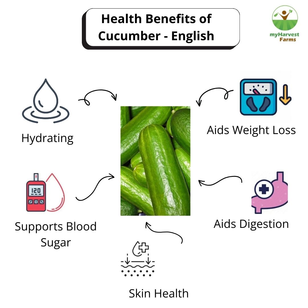 Cucumber - English