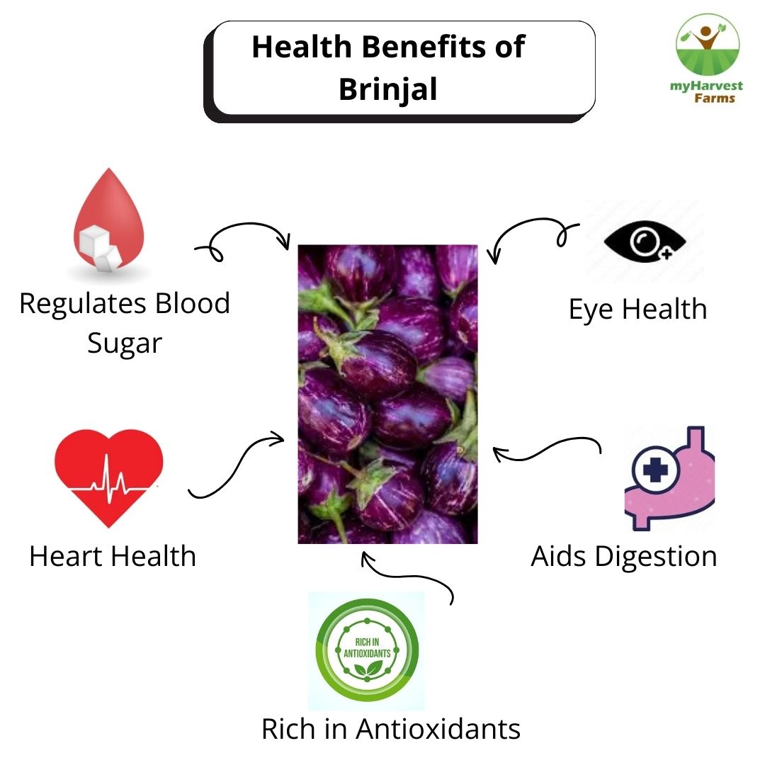Brinjal - Violet