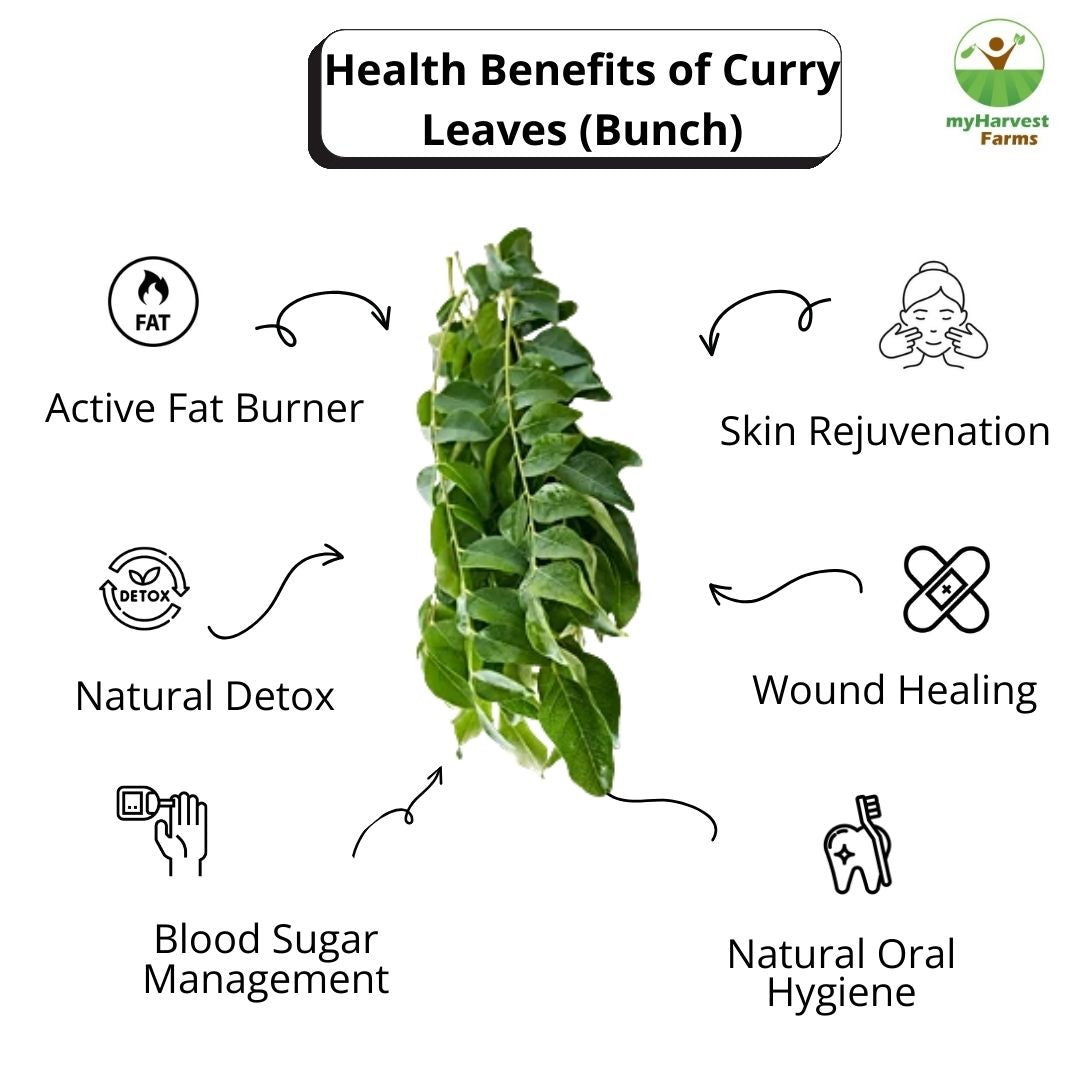 Curry Leaves