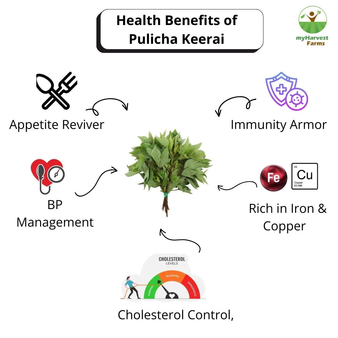 Pulicha Keerai - Gongura Leaves