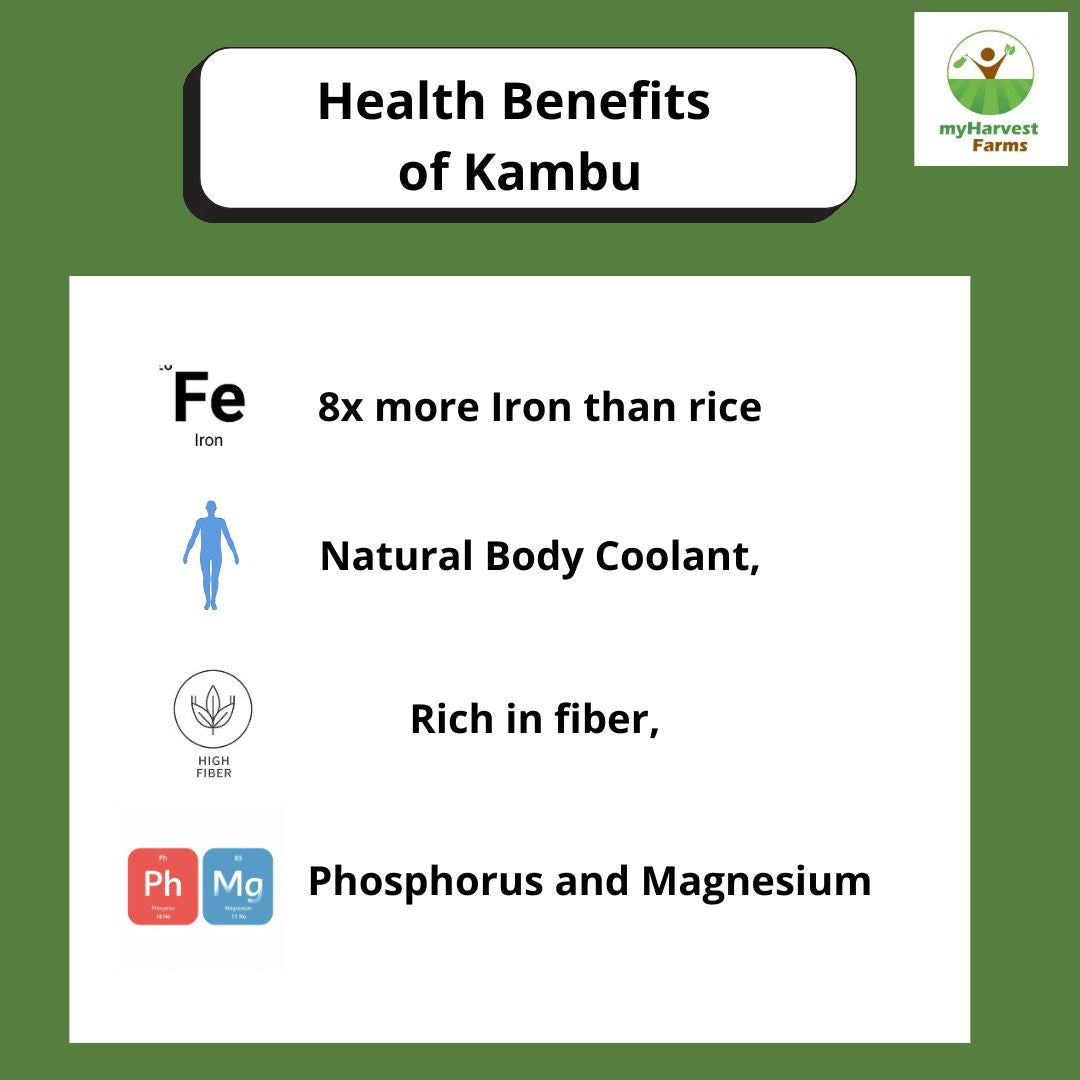 Naatu Kambu - Pearl Millet