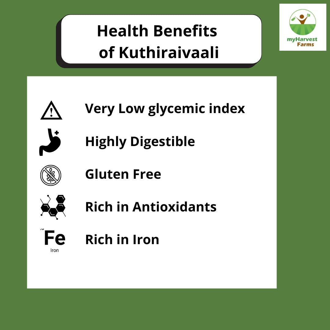 Kuthiraivaali - Barnyard Millet
