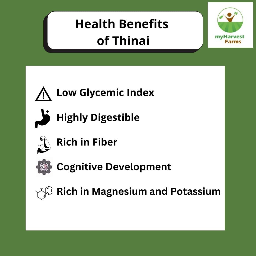 Thinai - Foxtail Millet