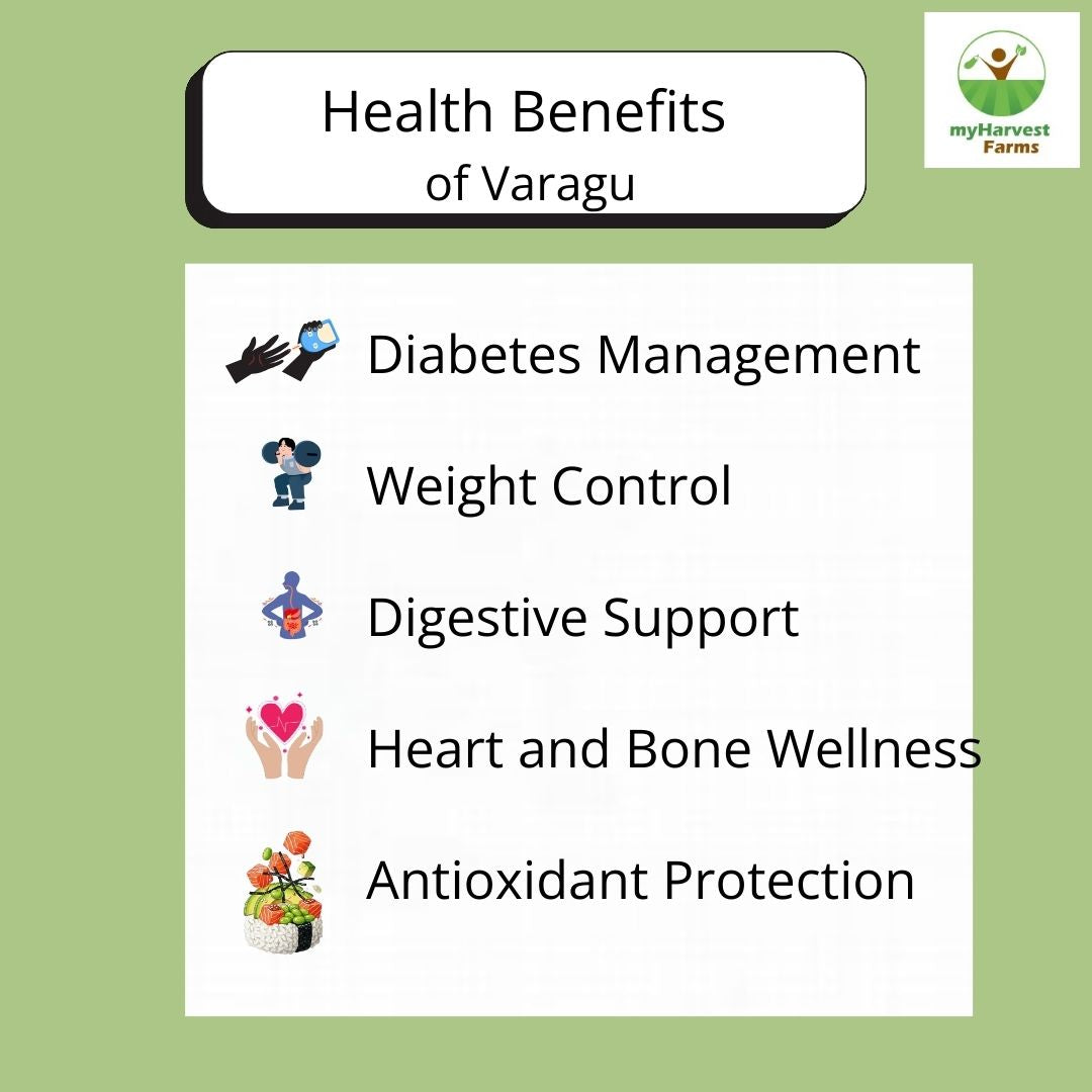 Varagu - Kodo Millet