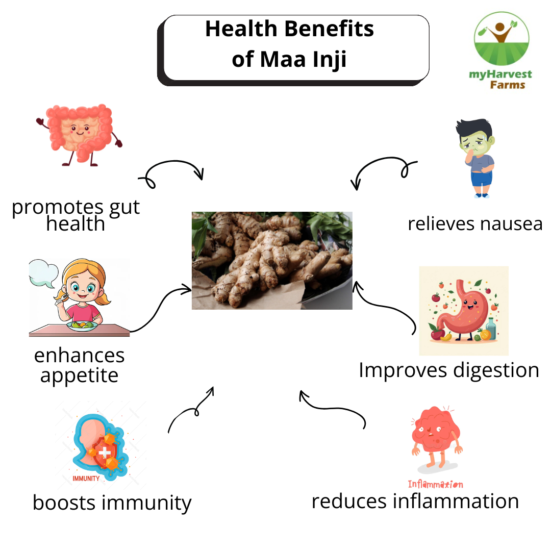 Maa Inji - Mango Ginger