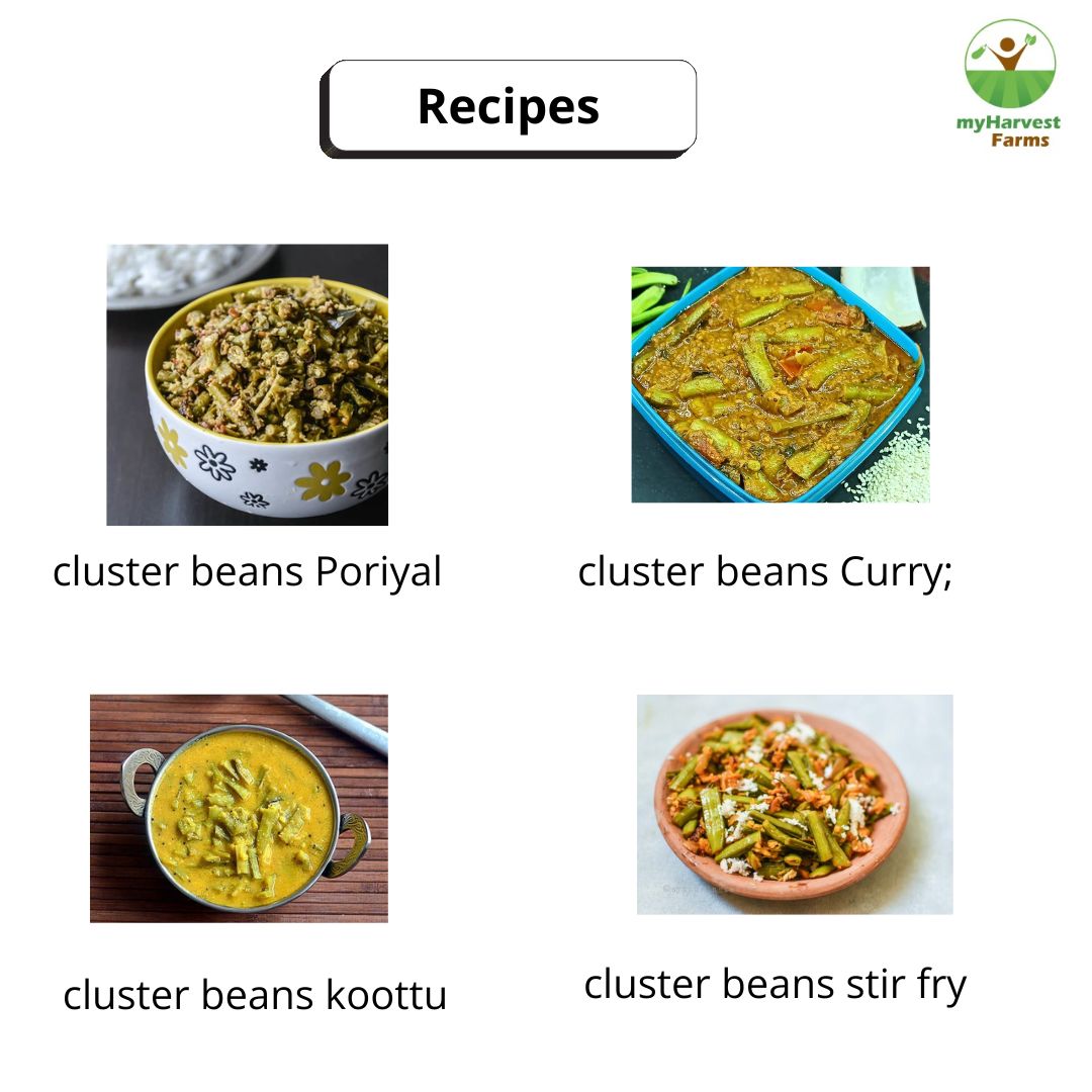 Kothavarai - Cluster Beans