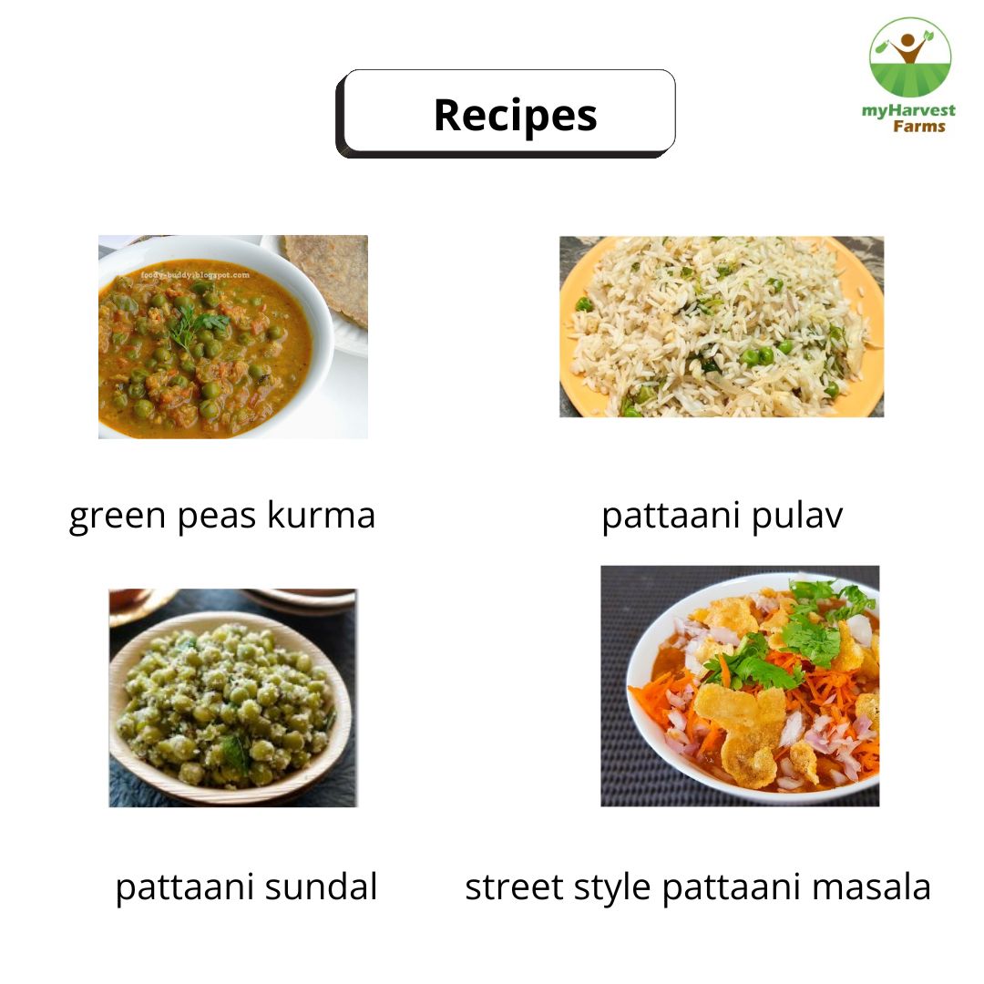 Pattani - Green Peas