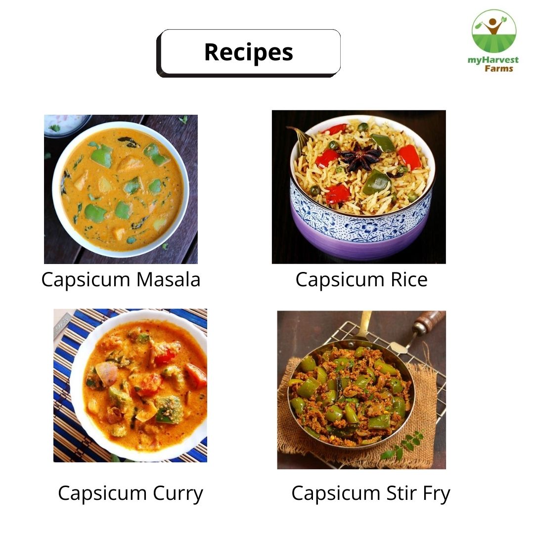 Capsicum - Green