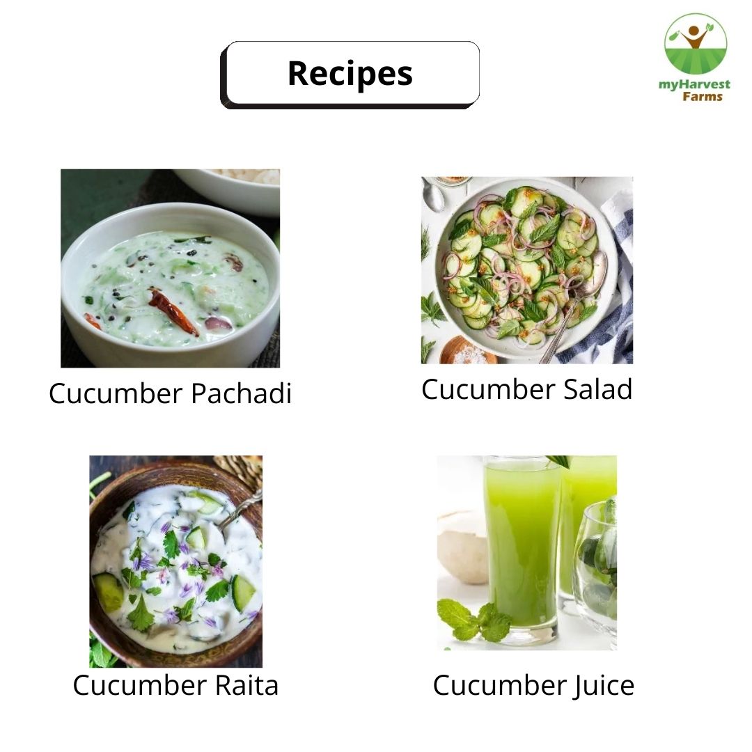 Cucumber - English