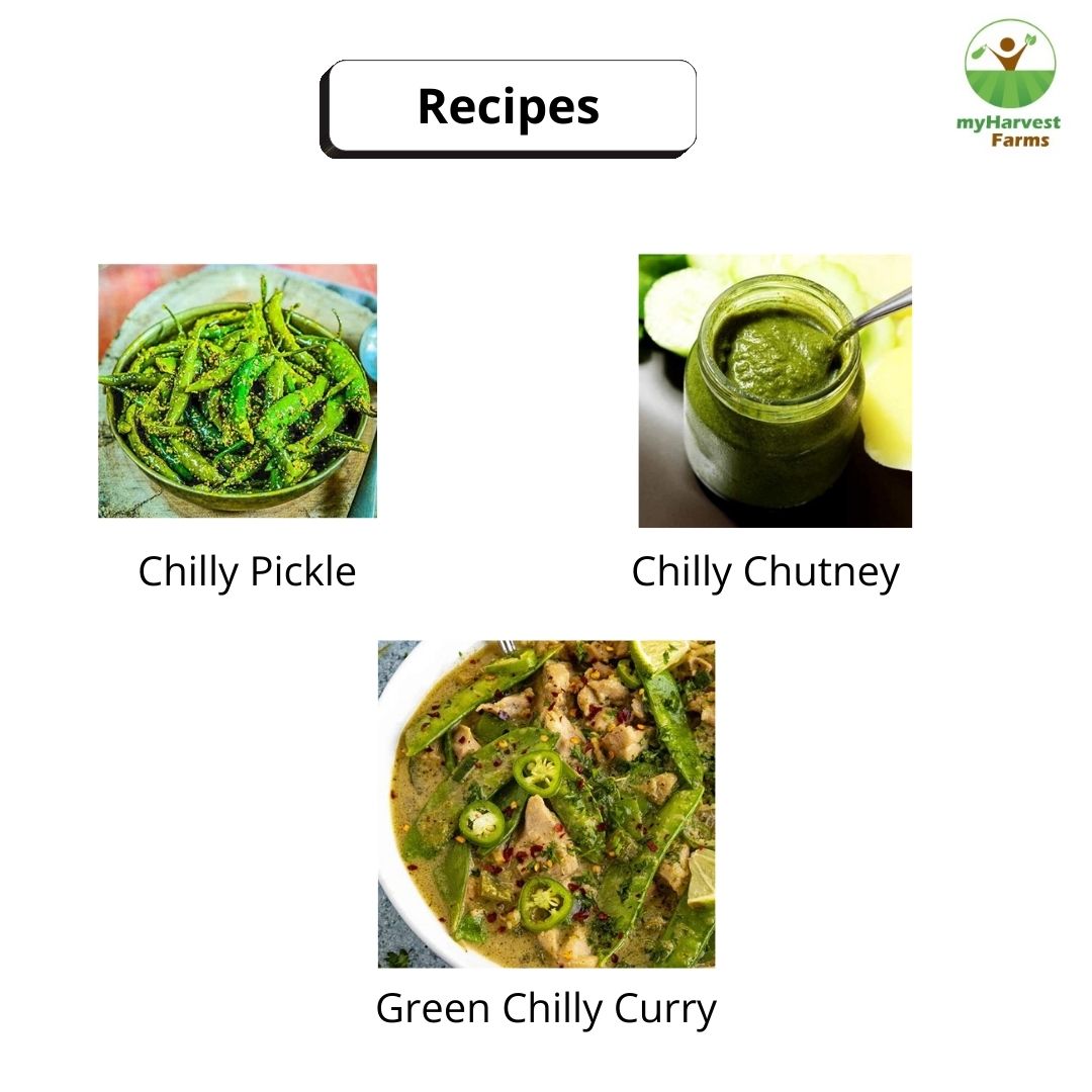 Green Chilly