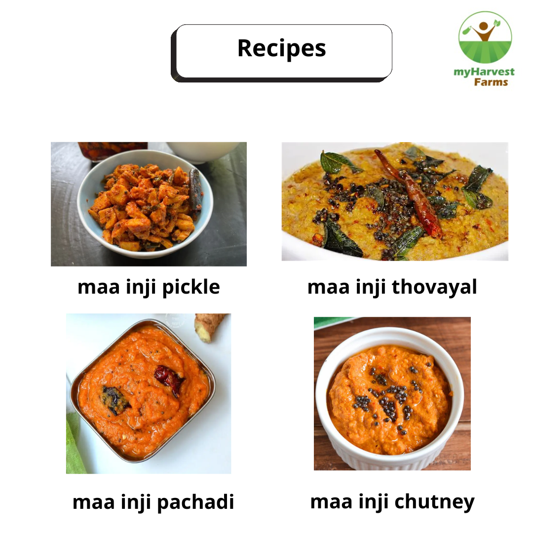 Maa Inji - Mango Ginger