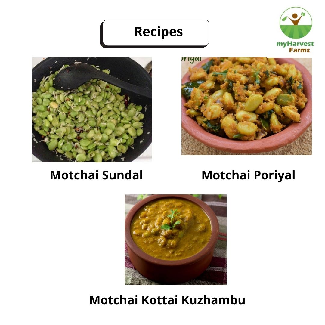 Motchai