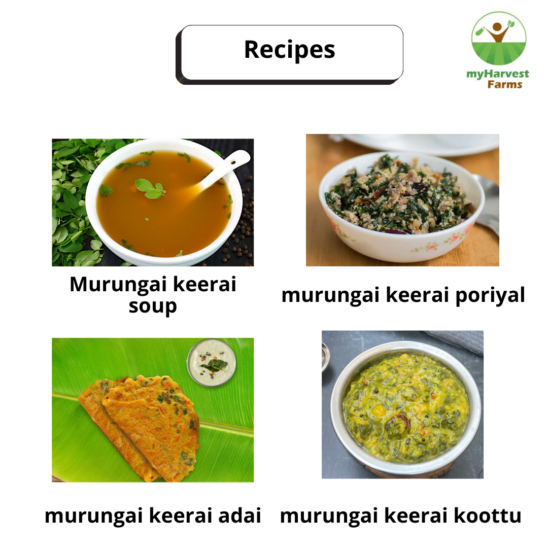Murungai Keerai (Drumstick Leaves)