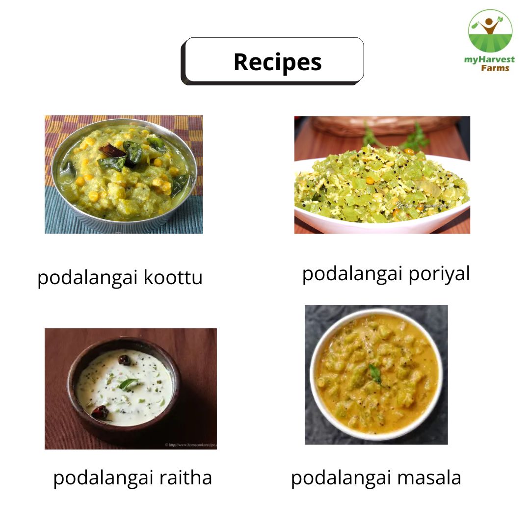 Podalangai - Snake Gourd (Long)