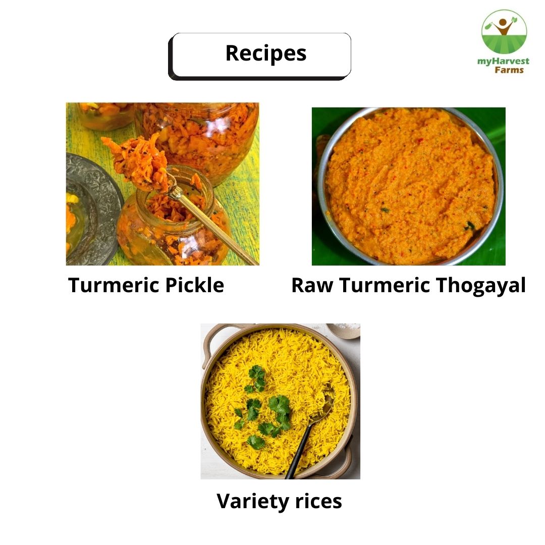 Raw Turmeric