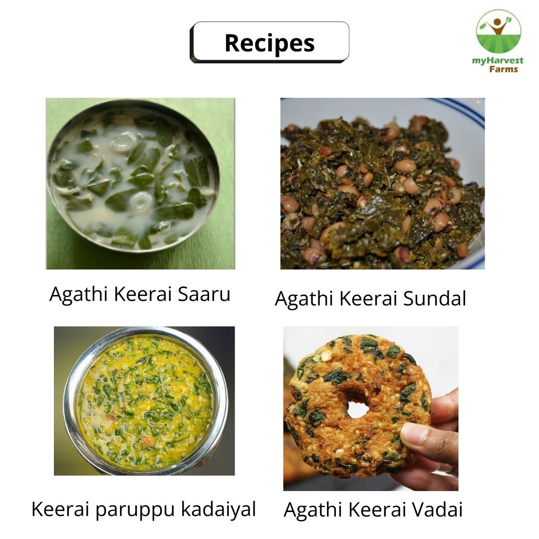 Agathi Keerai