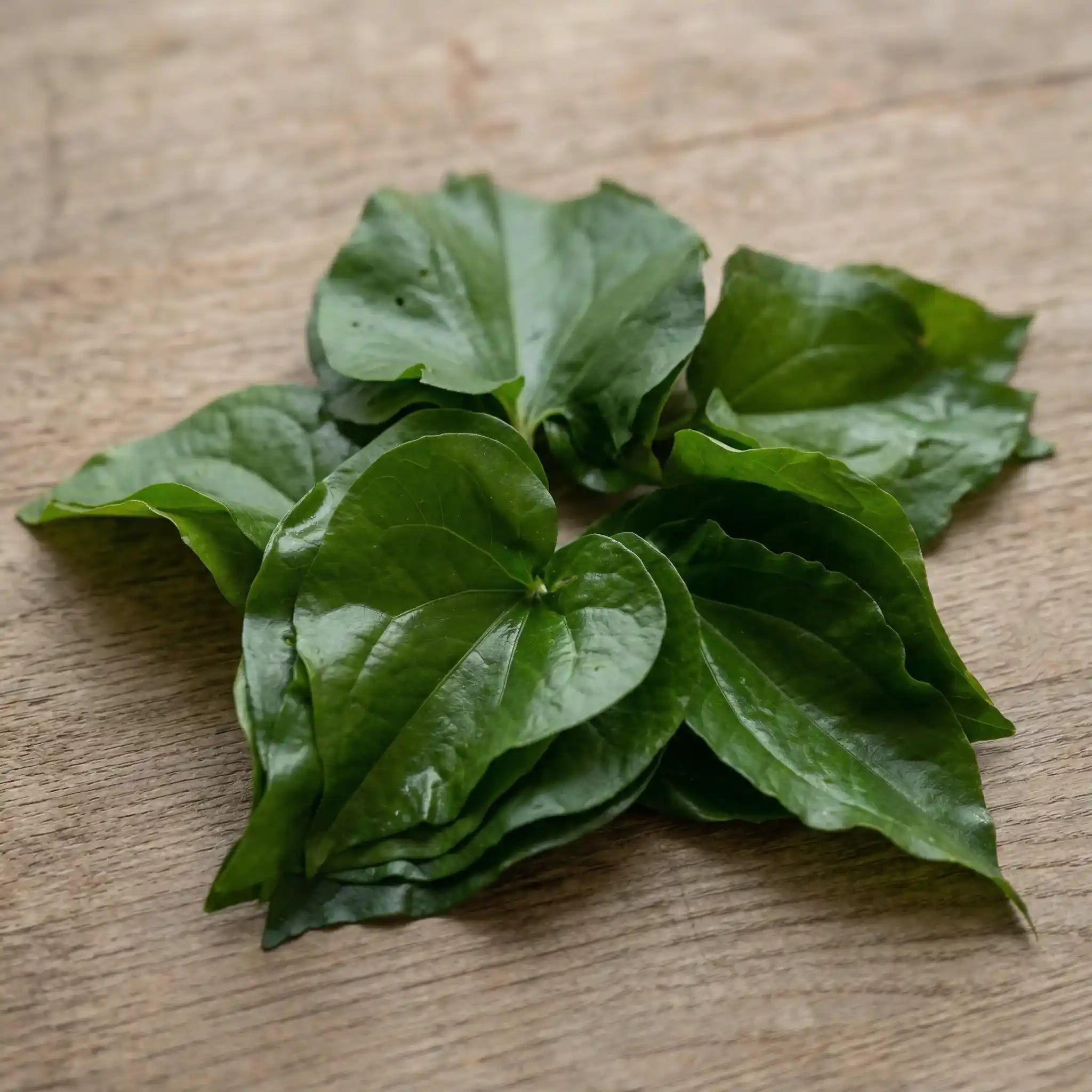 Naturally grown thippili leaves handpicked by our trusted farmers. 