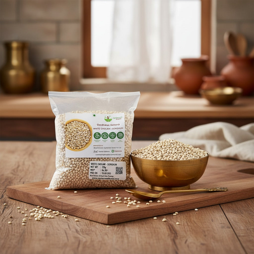White Cholam - Sorghum