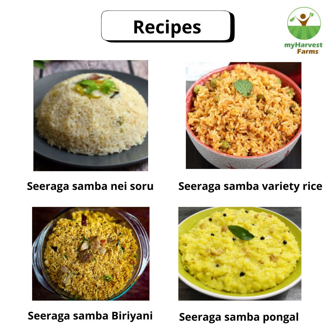 Seeraga Samba Rice - Raw