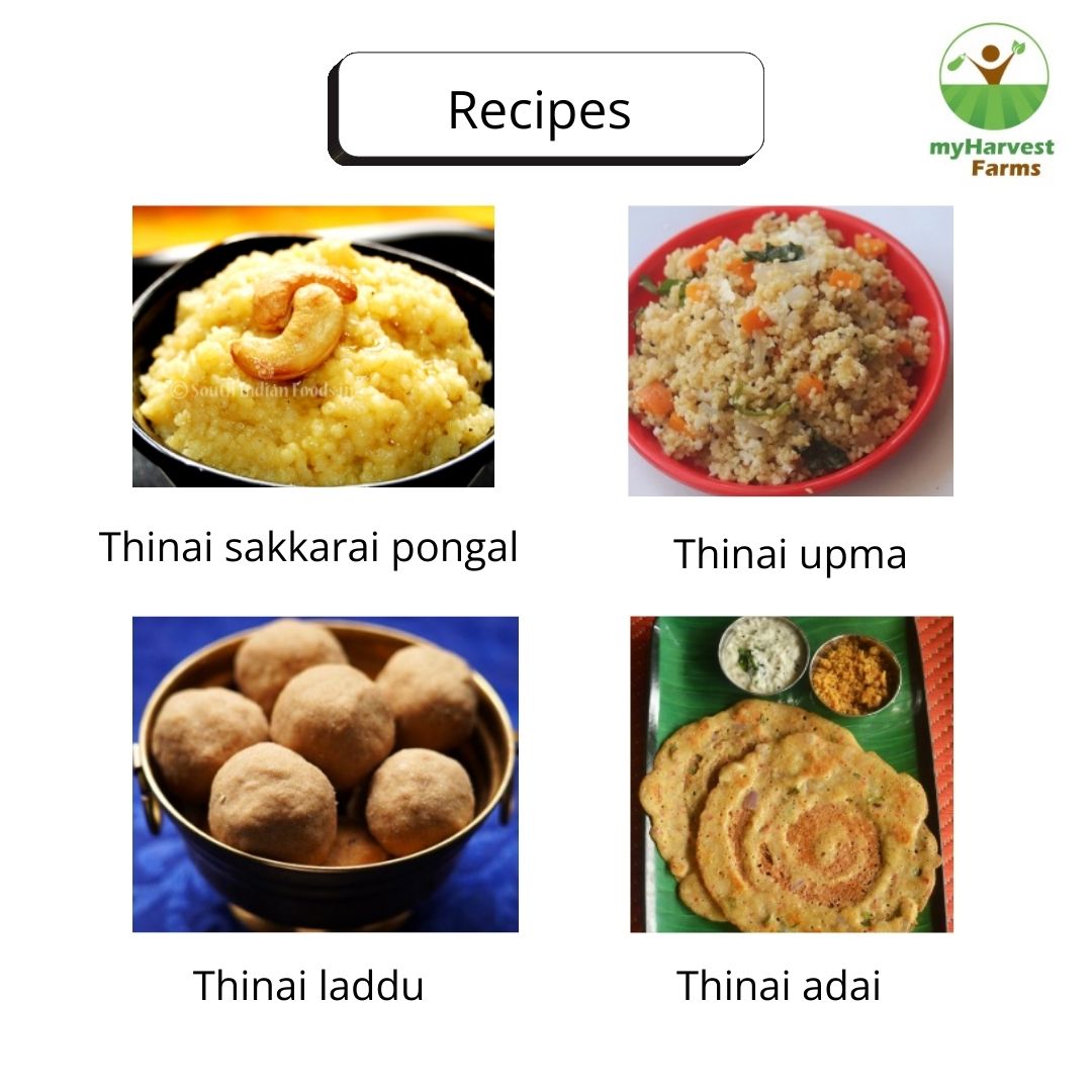 Thinai - Foxtail Millet