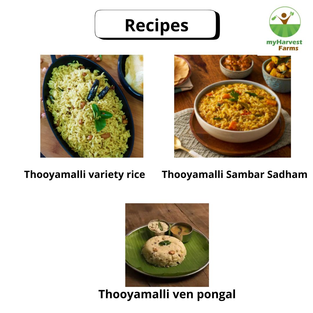 Thooyamalli Rice (White) - Raw