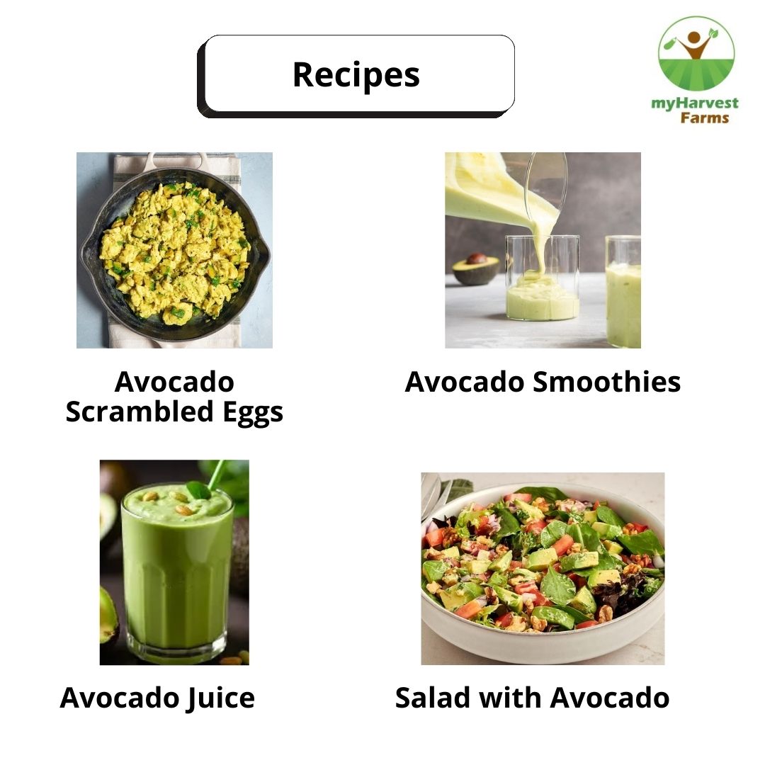 Avocado