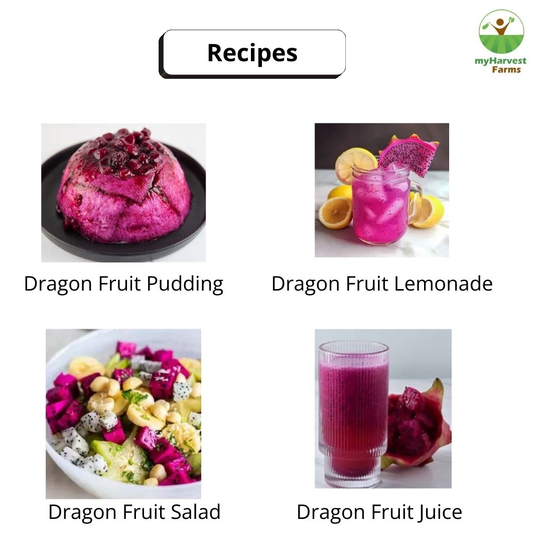 Red Dragon Fruit