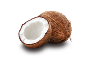 Coconut