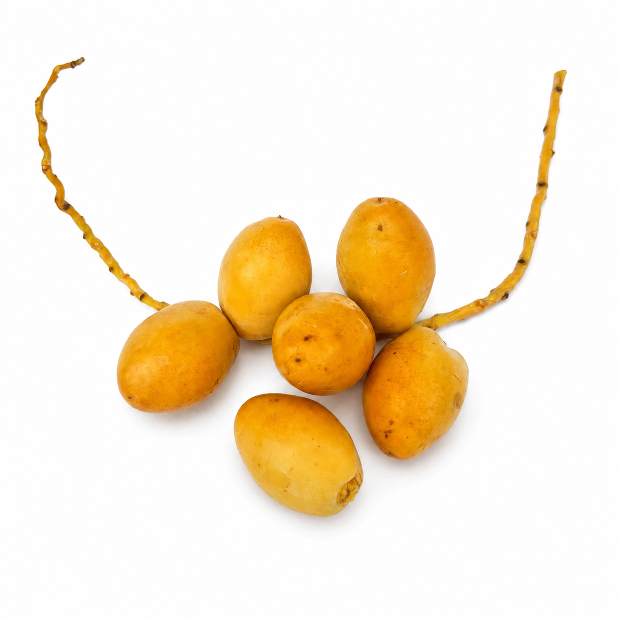 Fresh Date Fruit