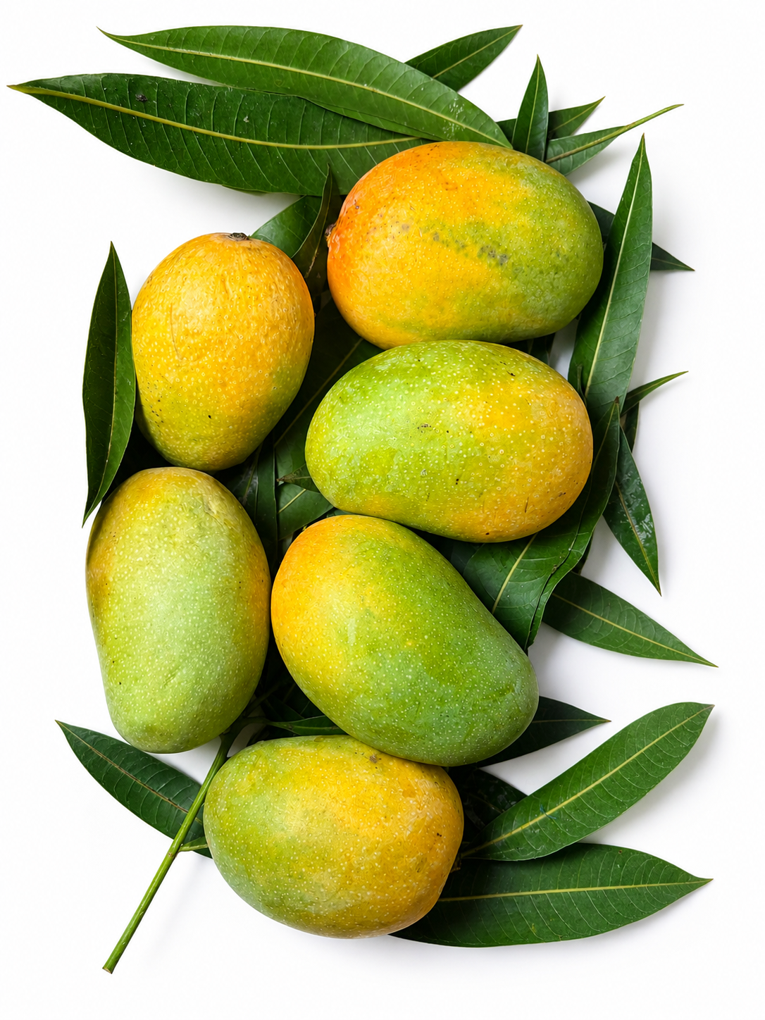 Kesar Mango