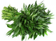 Green Ponnangani