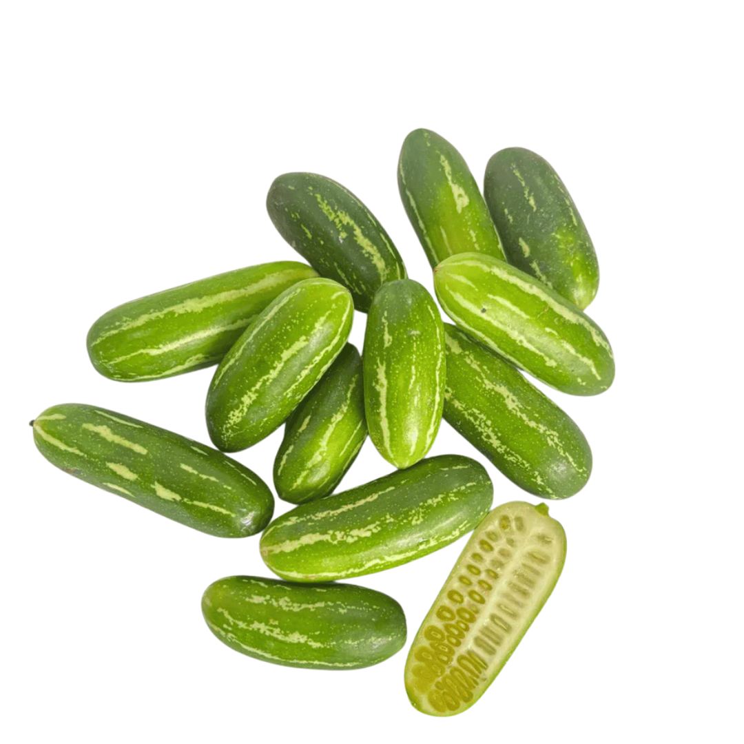 Kovakkai - Ivy Gourd