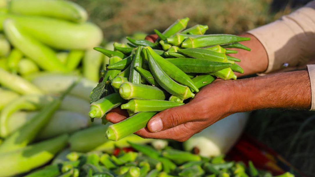 myHarvest Farms
