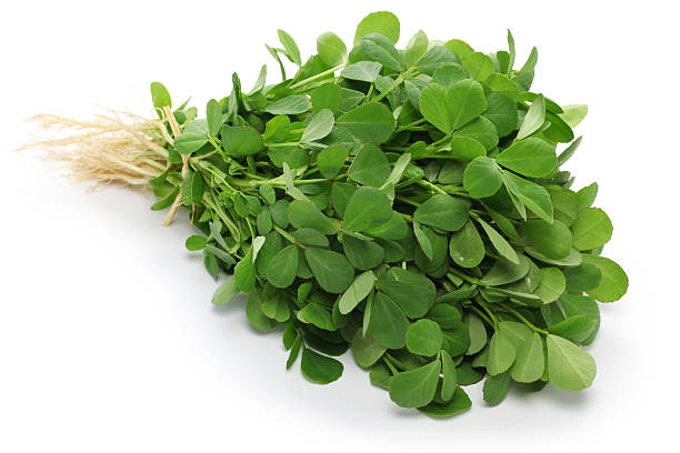 Bunch of fresh green spinach leaves on a white background