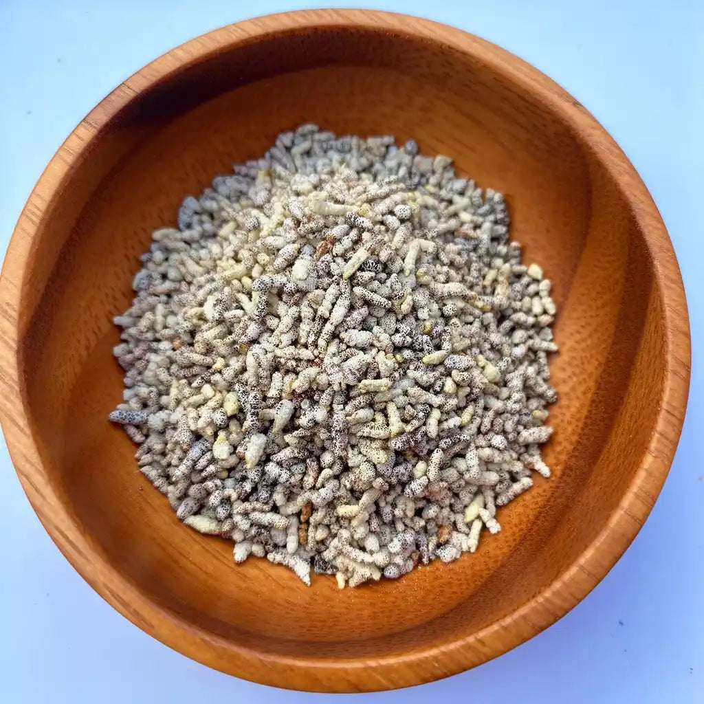 Karuppu Kavuni Pori