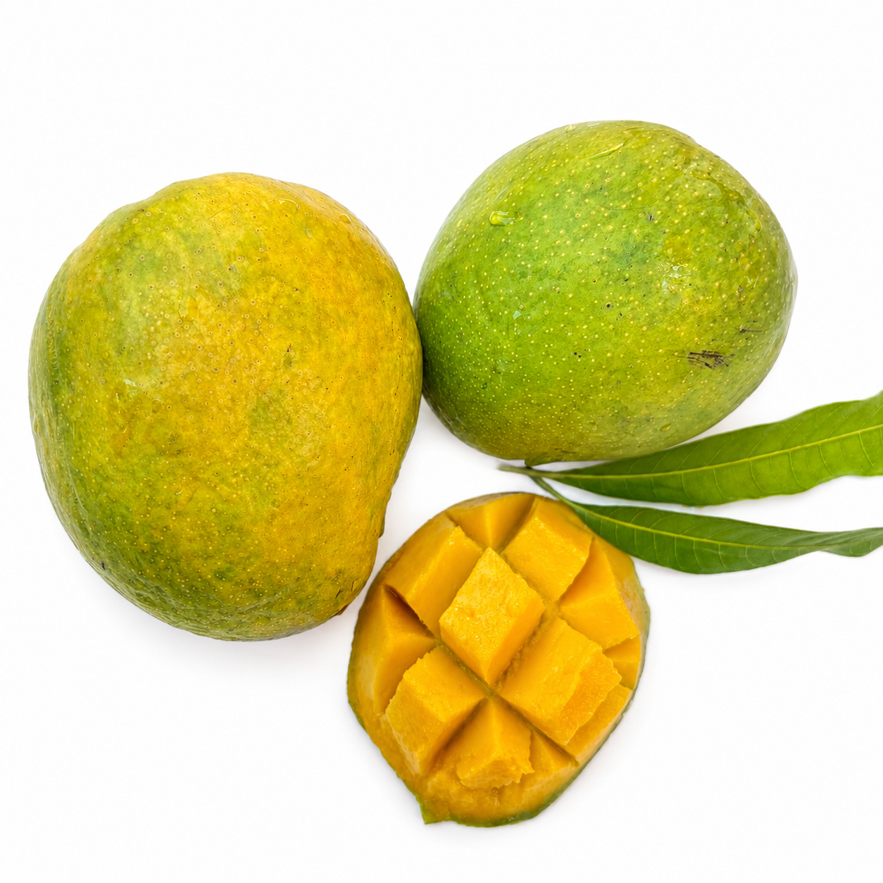 Malgova Mango