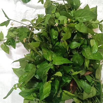 Manathakkali Keerai