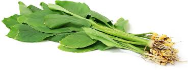 Naturally Grown Manjal Kothu-Farm Fresh, Chemical Free - Chennai only