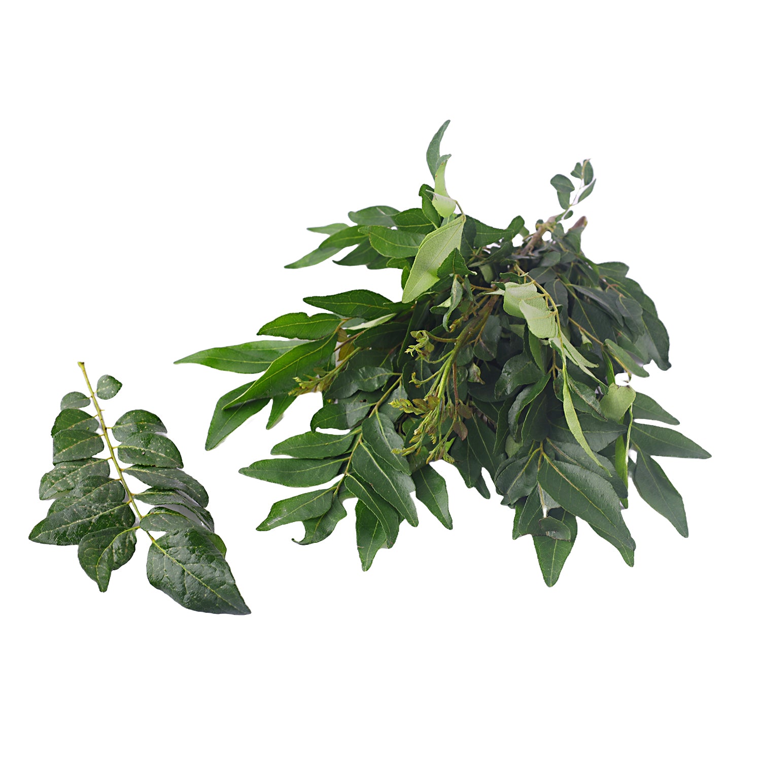 Curry Leaves