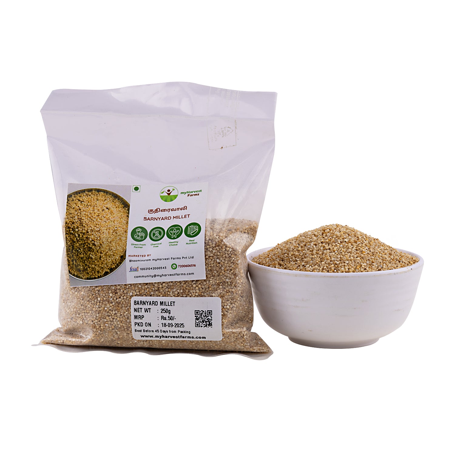 Kuthiraivaali - Barnyard Millet