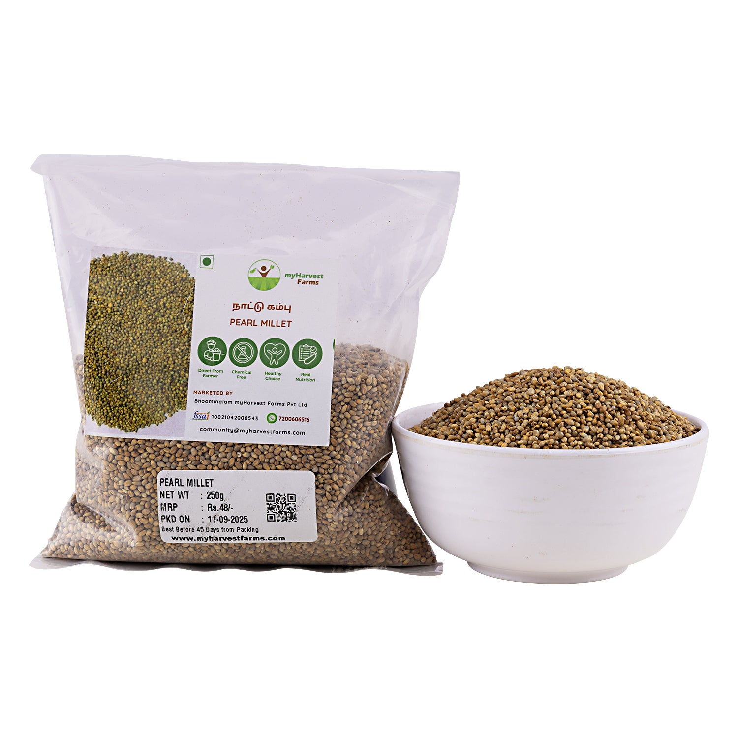 Naatu Kambu - Pearl Millet