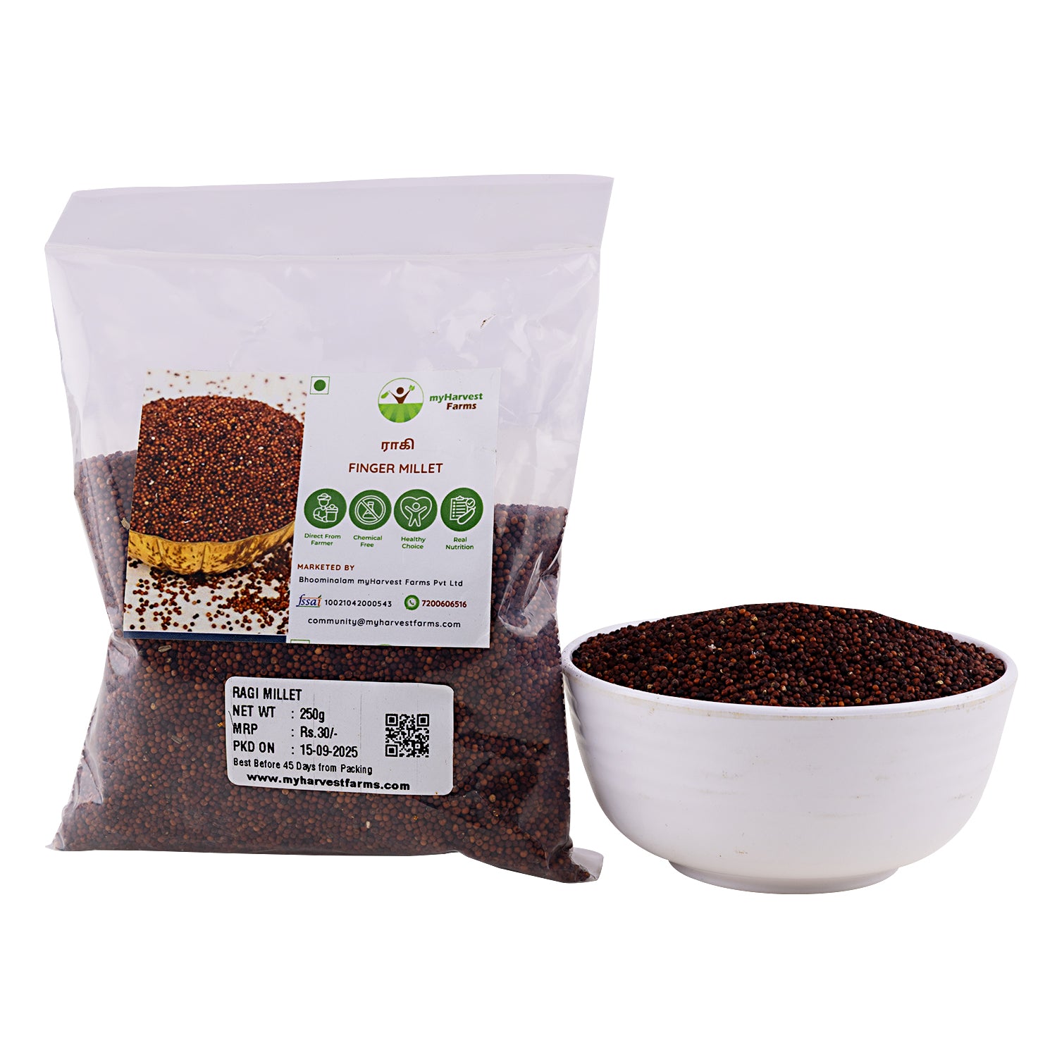 Ragi - Finger Millet