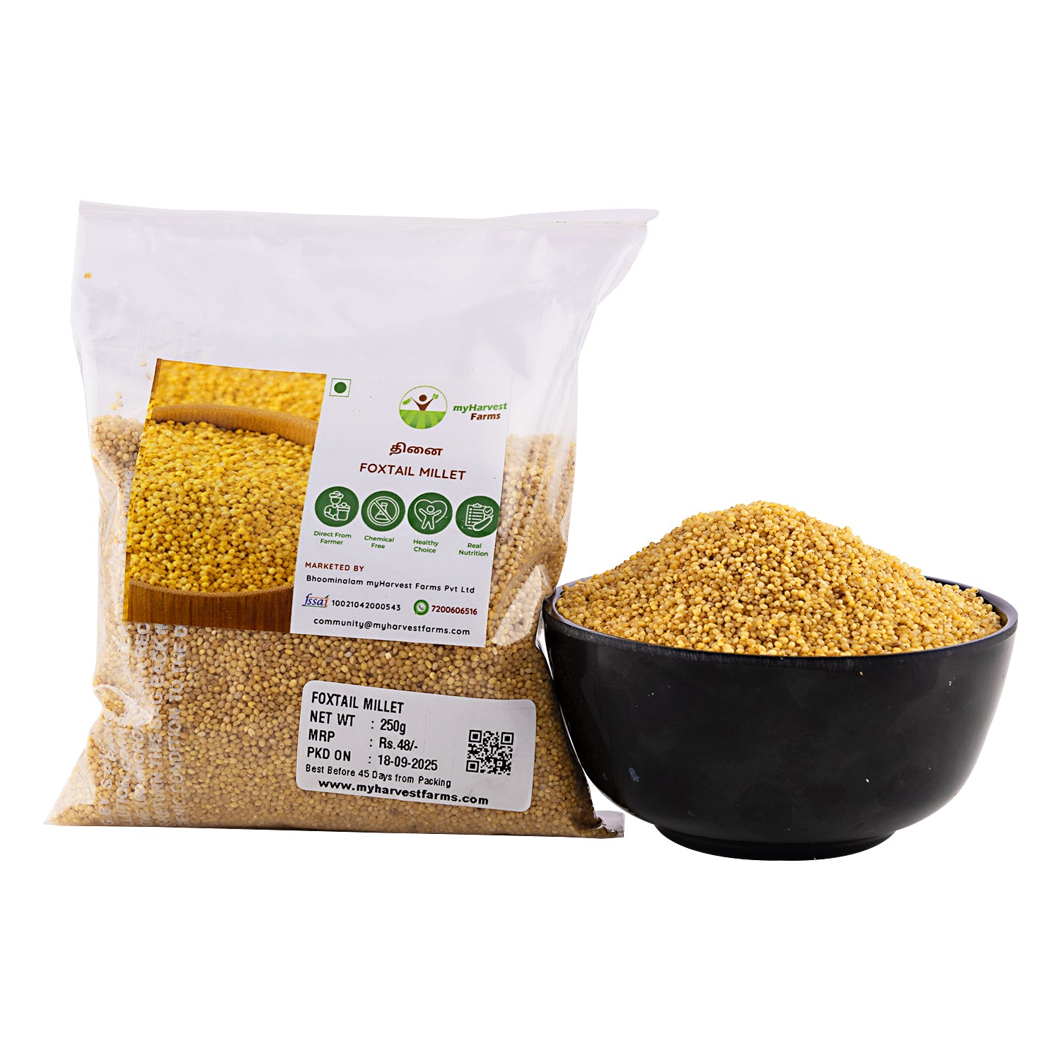 Thinai - Foxtail Millet