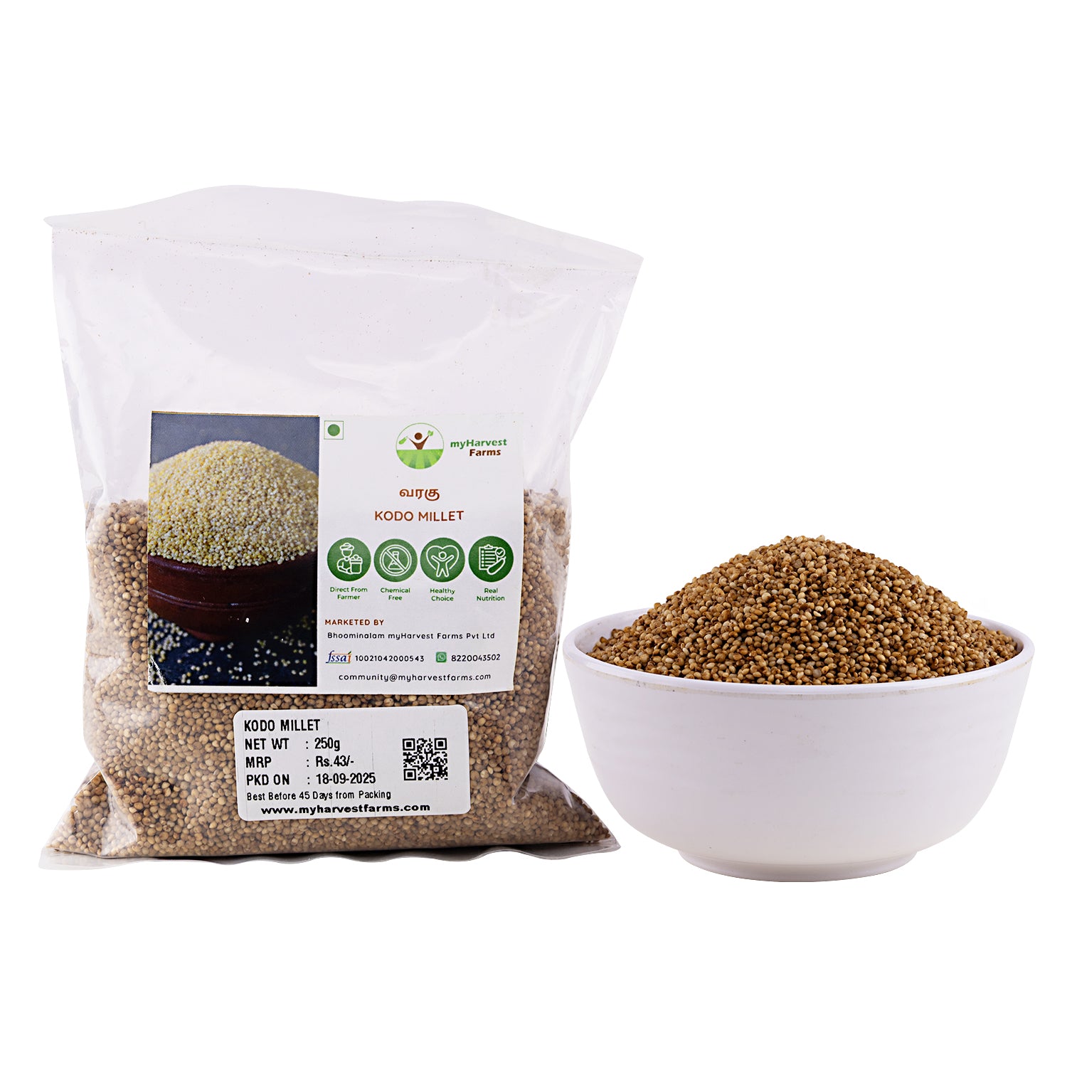 Varagu - Kodo Millet