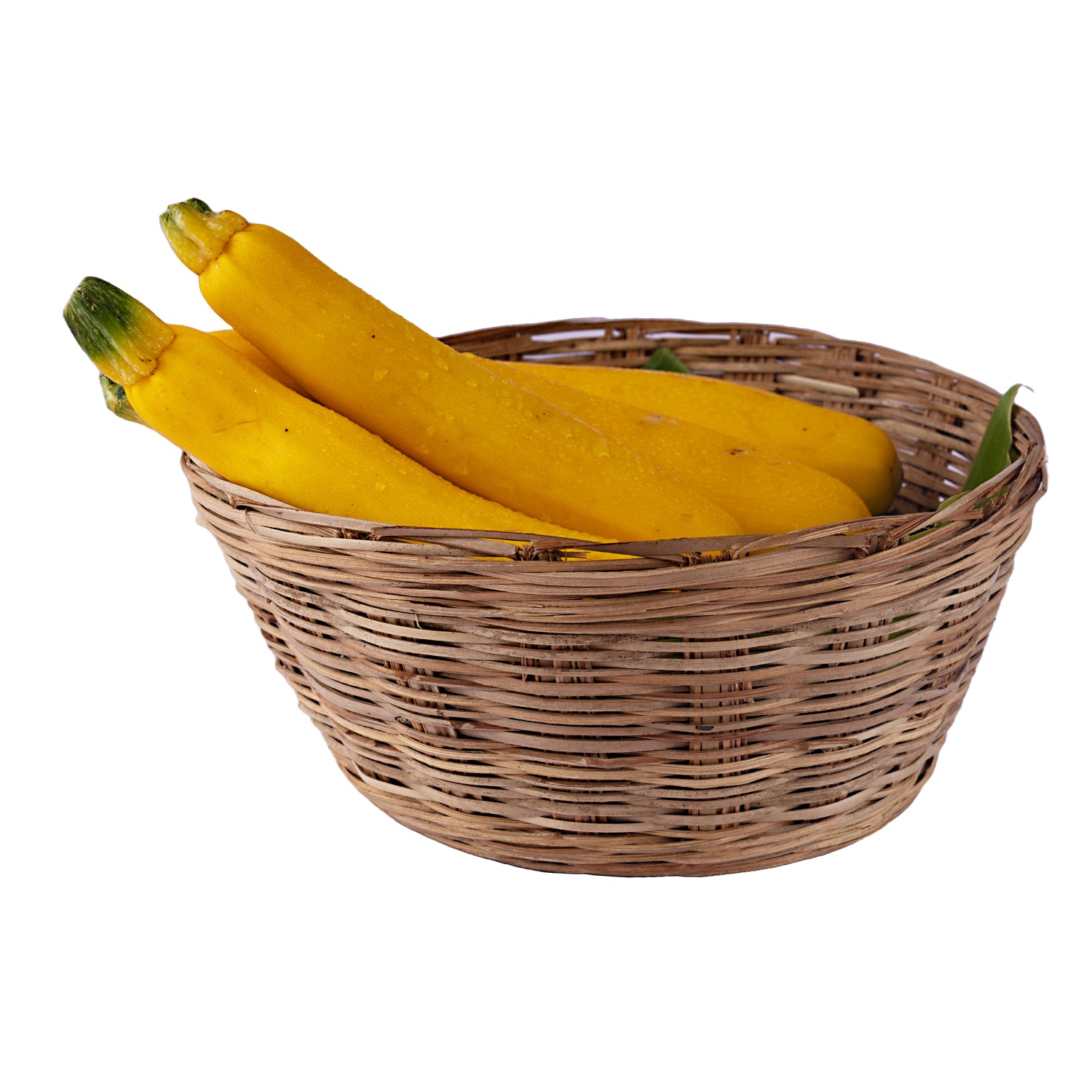 Zucchini - Yellow