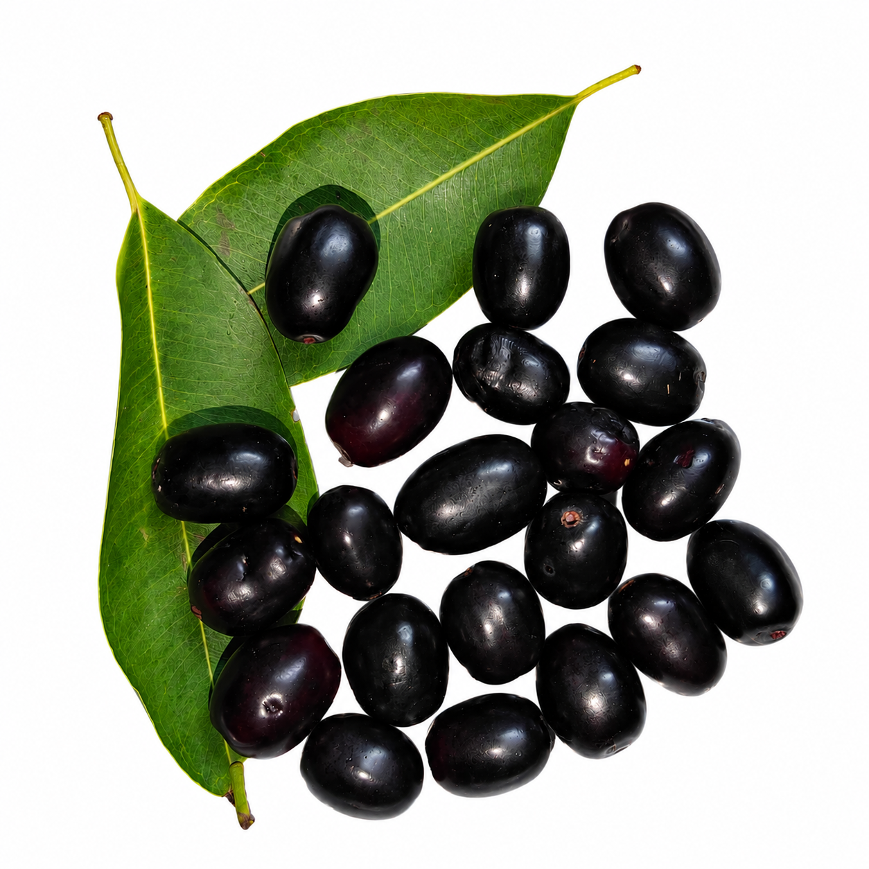 Naval Pazham - Jamun